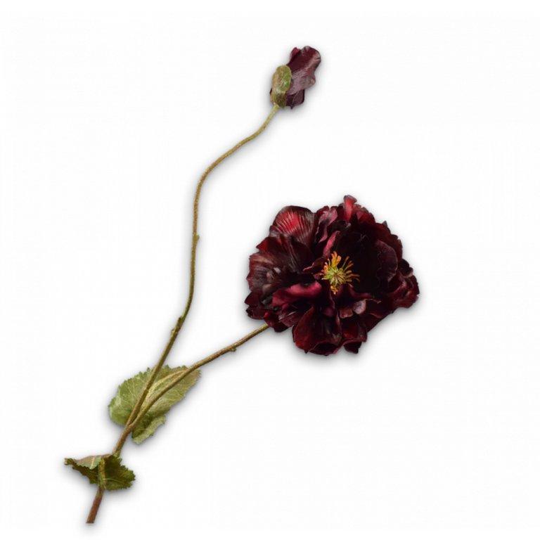 Branched Poppy Bordeaux Rt