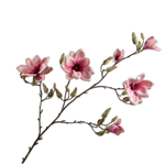 Magnolia Spray Mauve