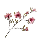Magnolia Spray Mauve