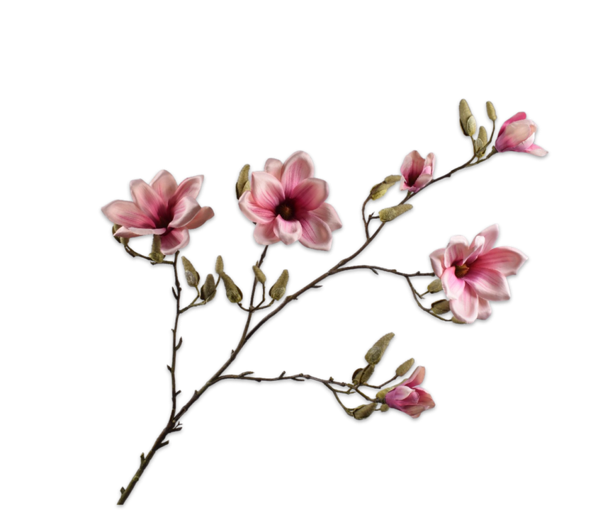 Magnolia Spray Mauve