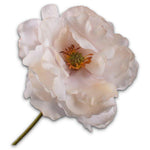 Poppy Stem Cream Rt