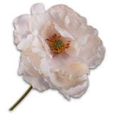 Poppy Stem Cream Rt