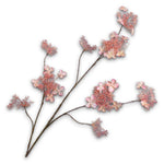 Branched Hydrangea Cr/Ros Rt