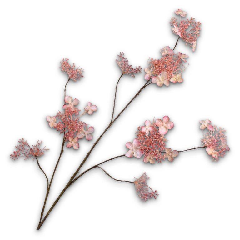 Branched Hydrangea Cr/Ros Rt