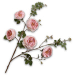 Rose Branched Rosa Lu
