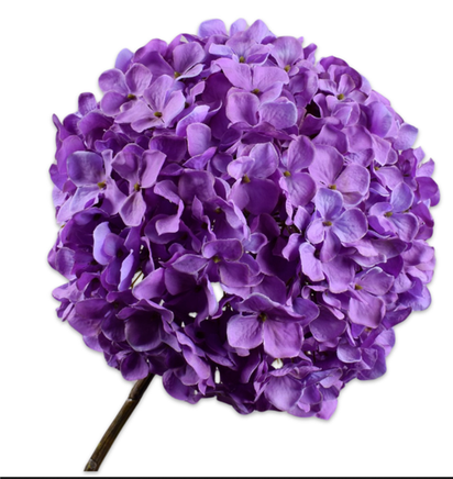 Hydrangea Peduncle Lavender