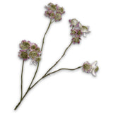 Astrantia Spray Mauve