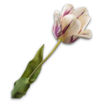 Tulip Stem Prp Lt Rt