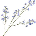 Delphinium Spray Blue Lt