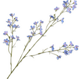 Delphinium Spray Blue Lt