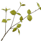 Leaf Spray Green-85Cm