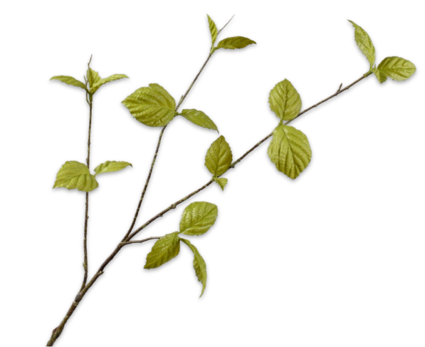 Leaf Spray Green-85Cm