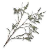 Eucalyptus Spray Grey
