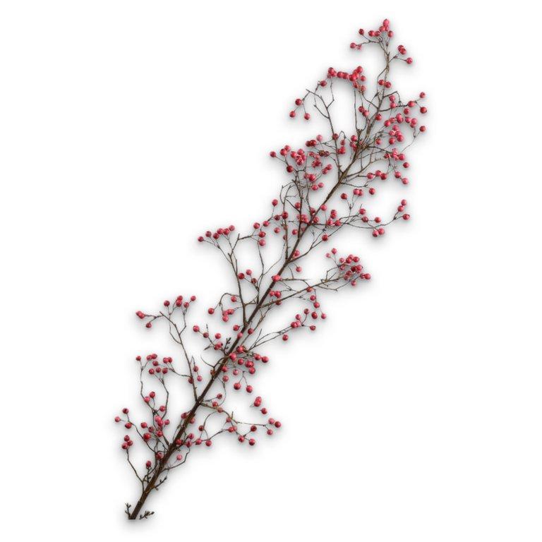 Berry Spray Beauty