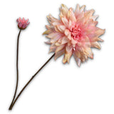 Dahlia Spray Pink Rt