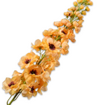 Lupinus Stem Yellow