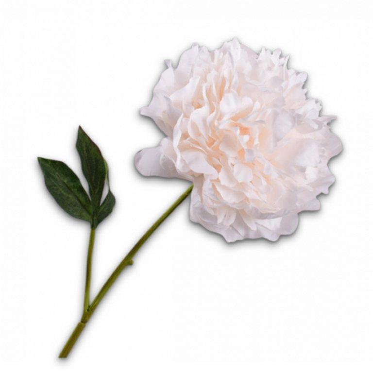 Peony Stem Cr/Org Rt