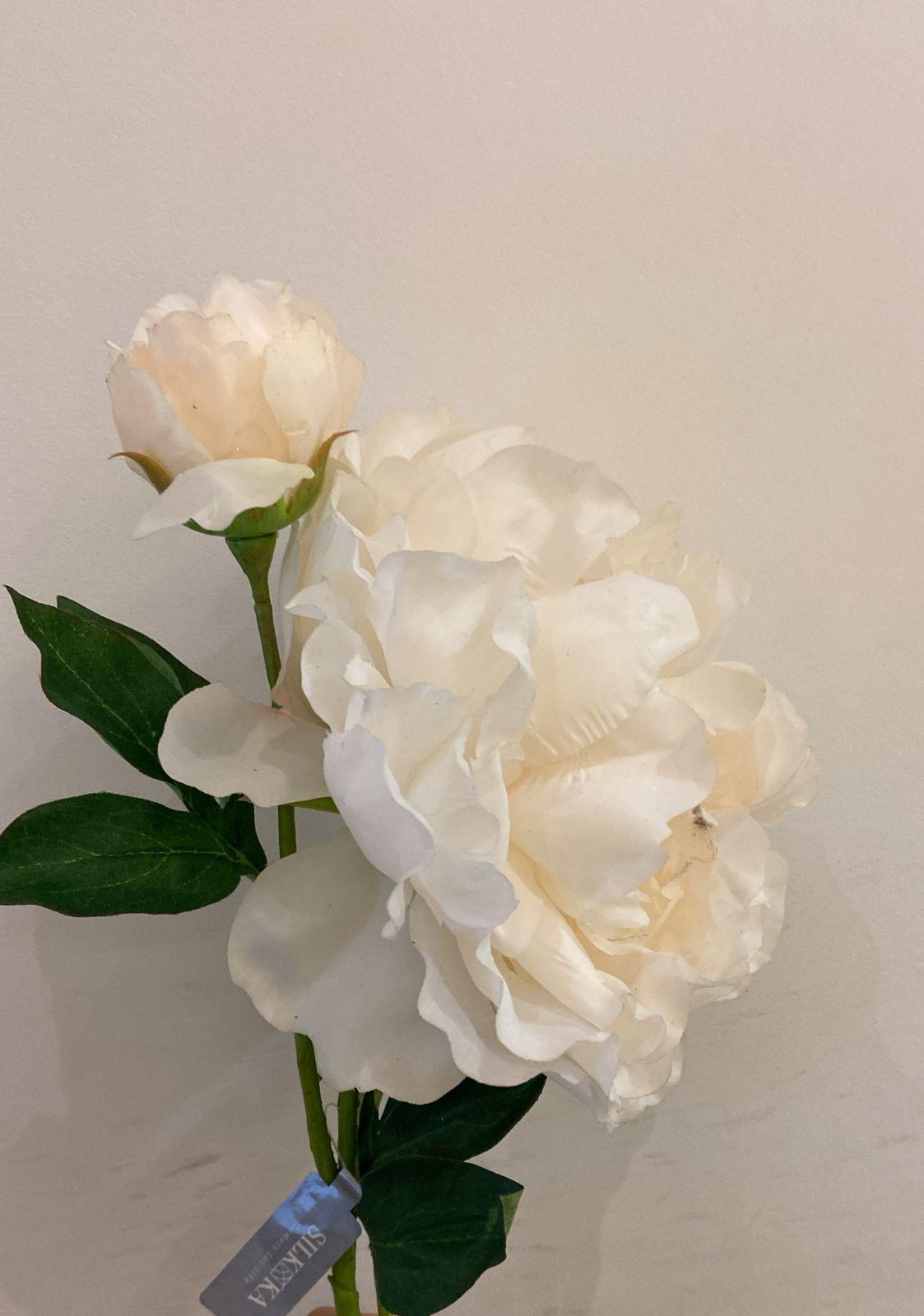 Peony Spray Cream Rt