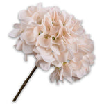 Hydrangea Stem Cr/Pnk Rt