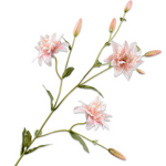 Lily Spray Pink