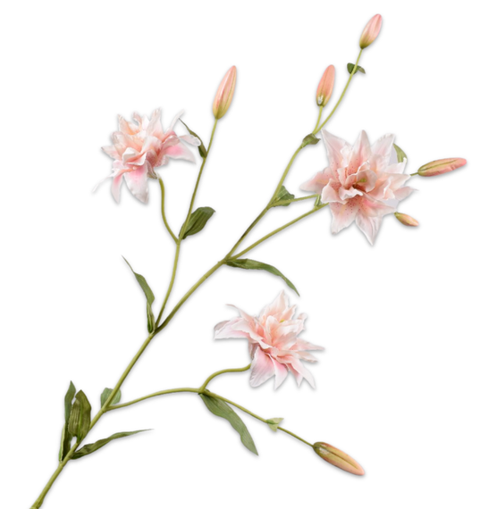 Lily Spray Pink