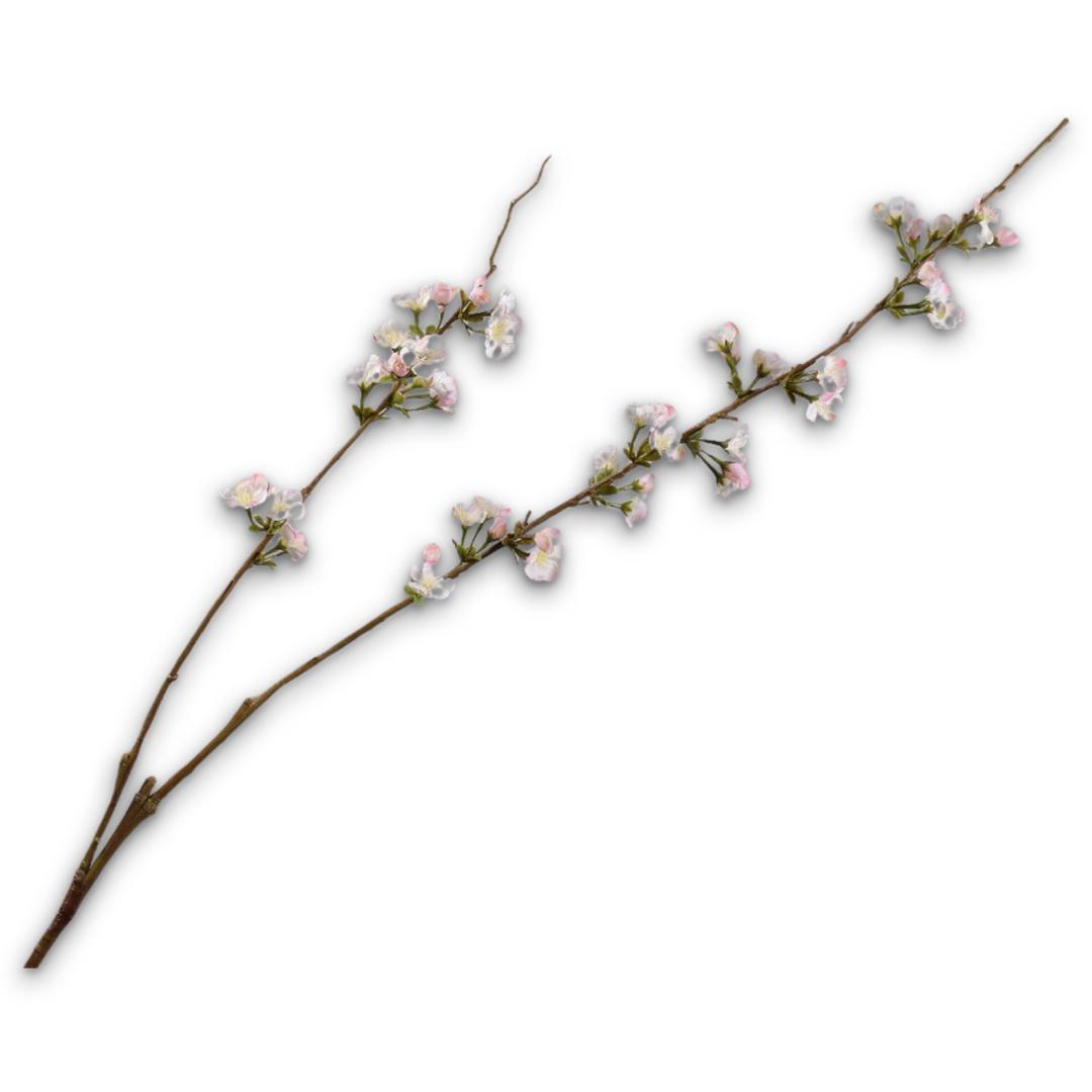 Vblossom Spray Cr/Pnk