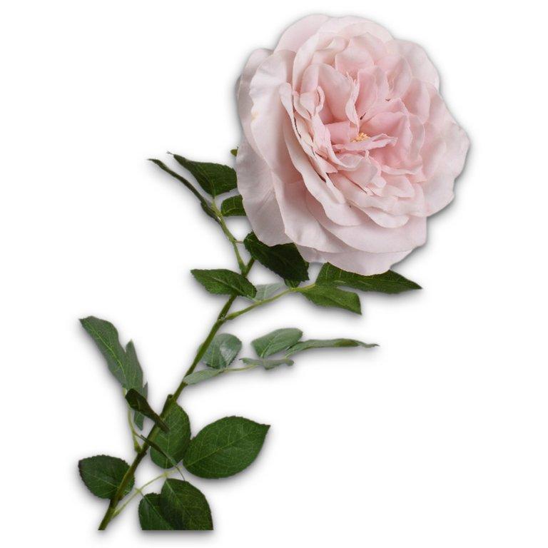 Rose Stem Mauve Rt-91Cm