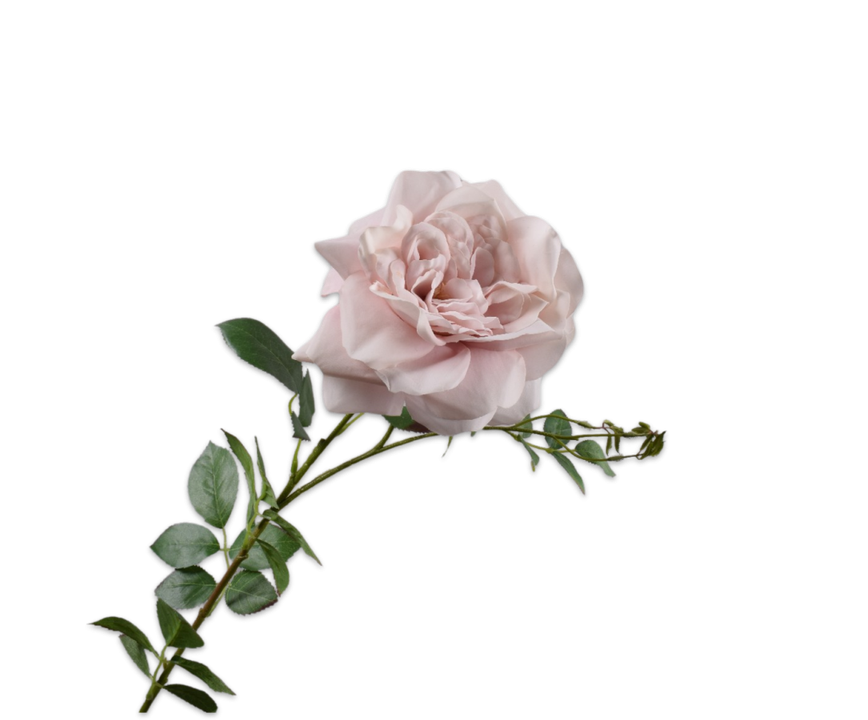 Rose Stem Mauve Rt-96Cm