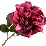 Rose Stem Pnk/Bty