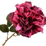 Rose Stem Pnk/Bty