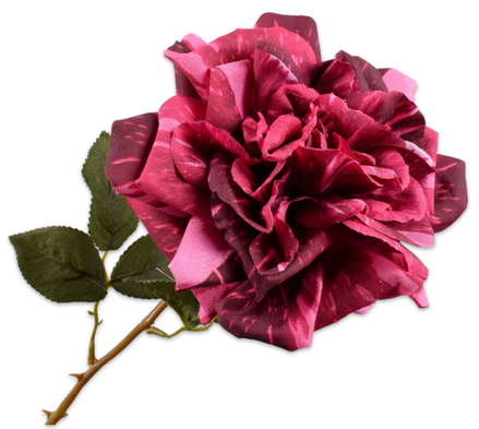 Rose Stem Pnk/Bty