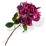 Rose Stem Bty/Cr