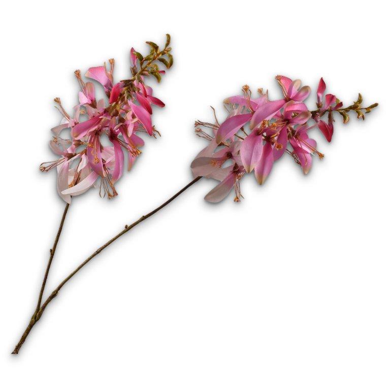 Macuna Spray Pink