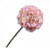 Hydrangea Stem Pink