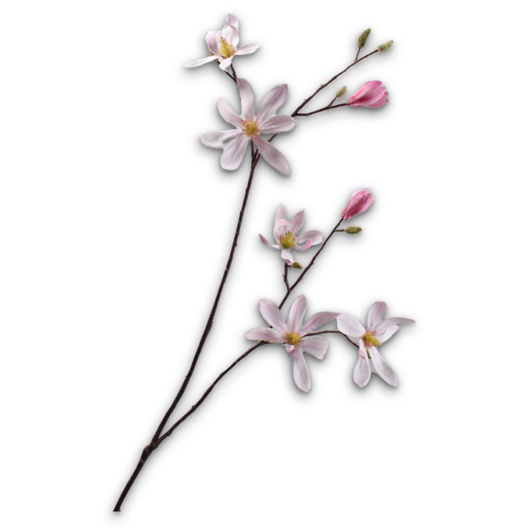 Magnolia Spray Pink Lt