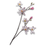 Magnolia Spray Pink Lt