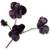 Pansy Spray Prp Dk Rt
