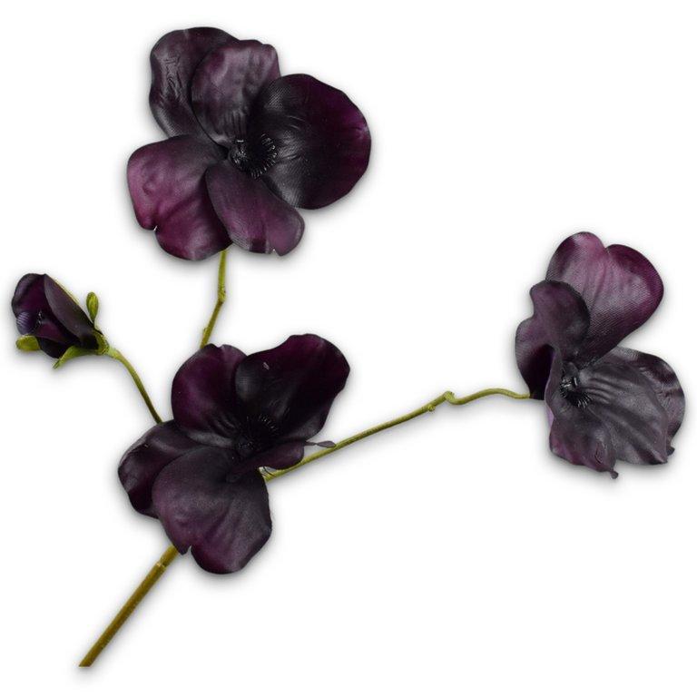 Pansy Spray Prp Dk Rt