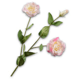 Lisianthus Spray