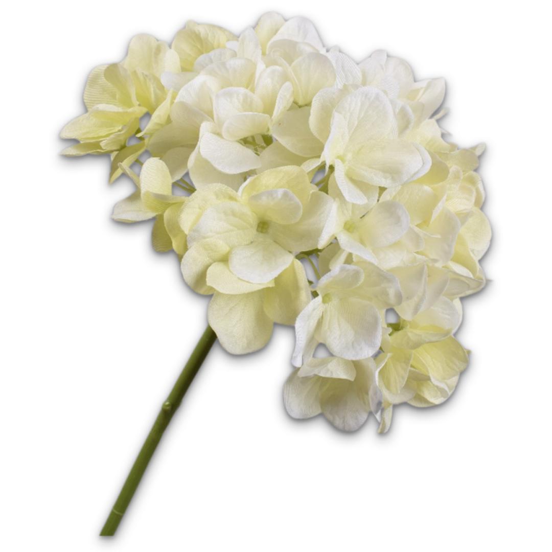 Hydrangea Cream Stem