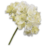 Hydrangea Cream Stem