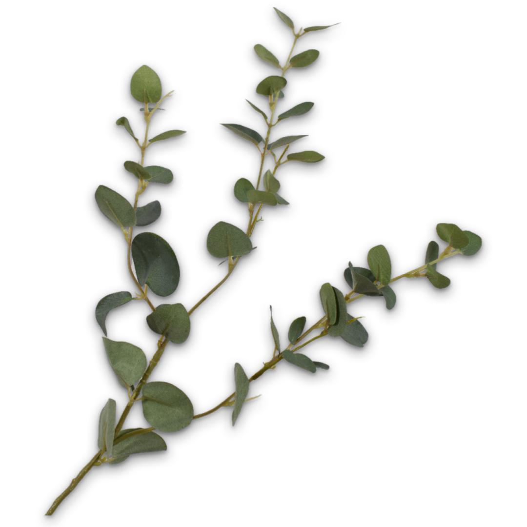 Eucalyptus Branch Grn/Grs