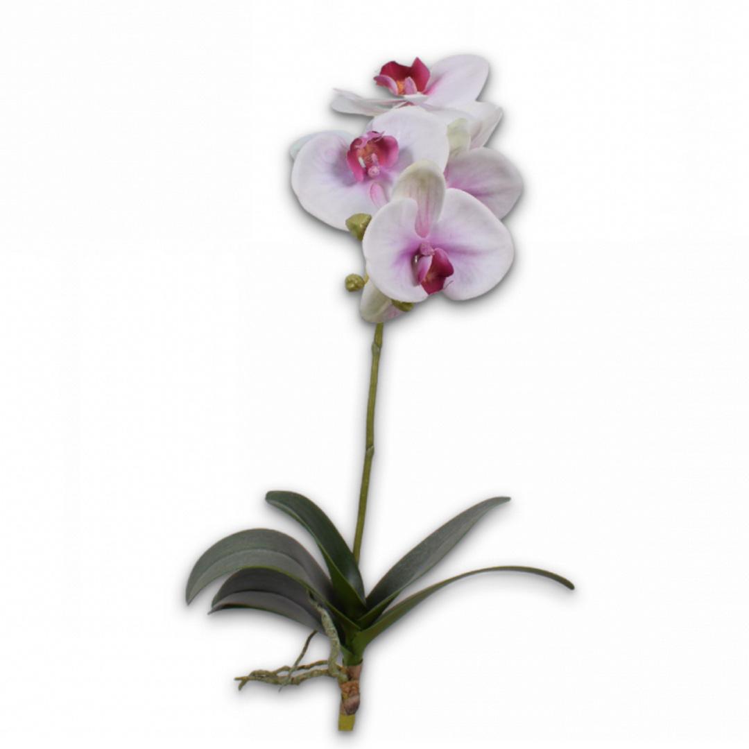 Orchid W/Leaf Lav/Grn