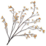 133541 Berry Spray Orange