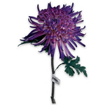Chrysant Stem Purple