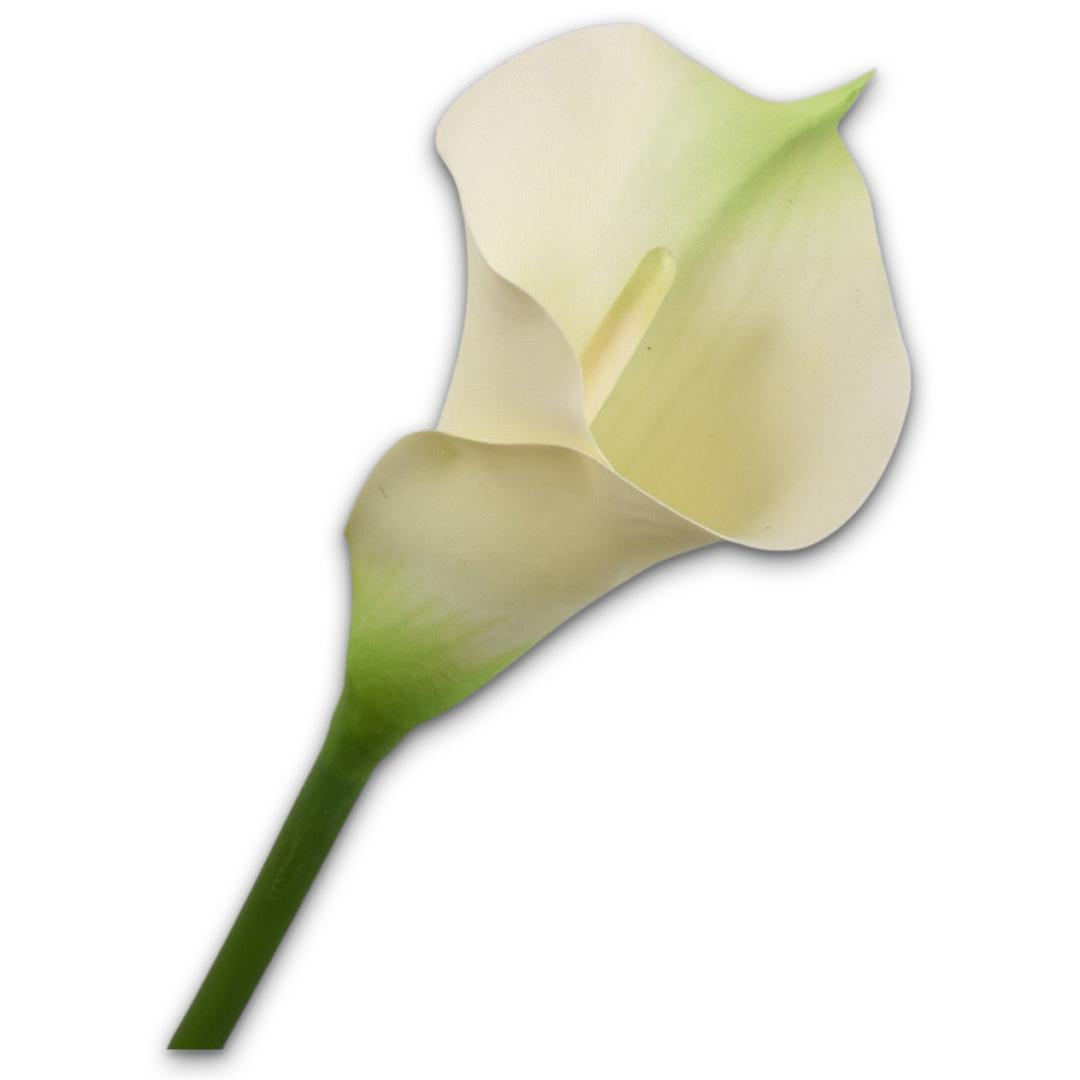 Calla Stem Grn Lt