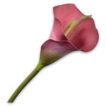 Calla Stem Beauty - 81