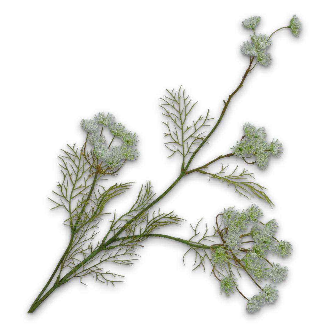 Queen An Lace Spray White
