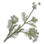 Queen An Lace Spray White