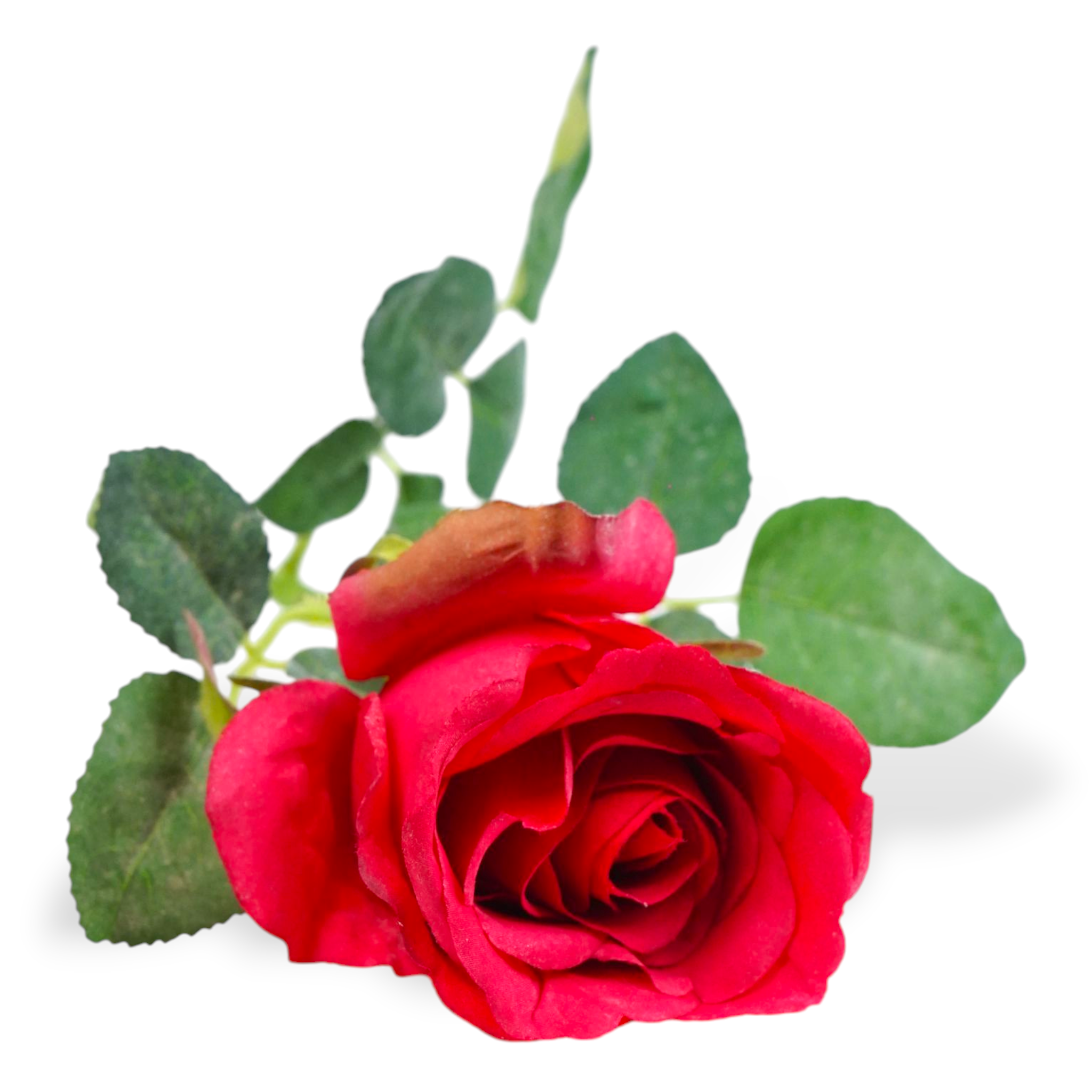 Rose Spray Red